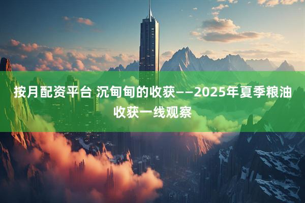 按月配资平台 沉甸甸的收获——2025年夏季粮油收获一线观察